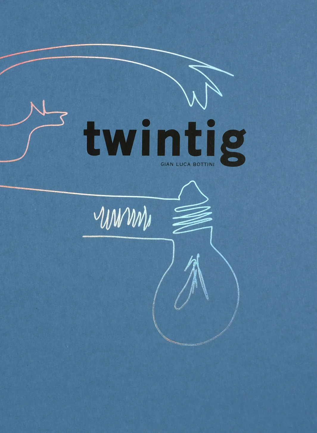 cover con titolo 20 in lingua afrikaans con segno grafico in lamina a ologramma